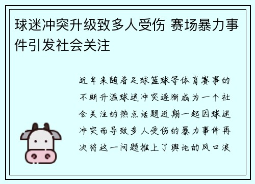 球迷冲突升级致多人受伤 赛场暴力事件引发社会关注 球迷冲突升级致多人受伤 赛场暴力事件引发社会关注